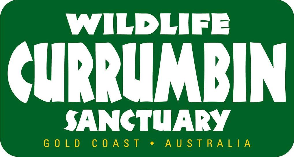 Currumbin-Wildlife-Sanctuary_JPG-1